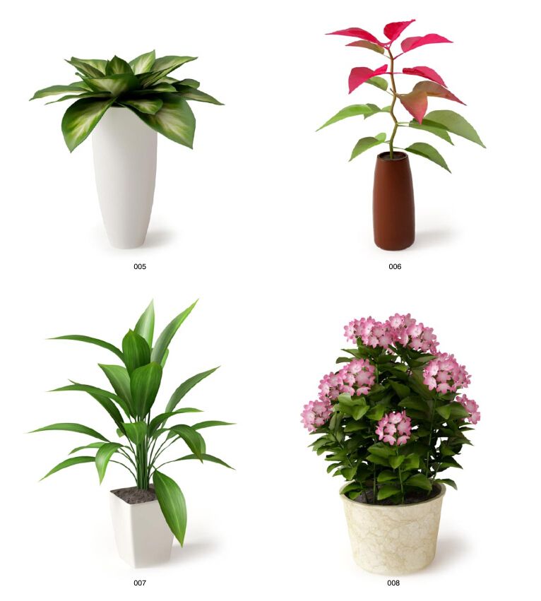 8種綠色植物除甲醛有效果嗎 8種綠色植物除甲醛有效果嗎