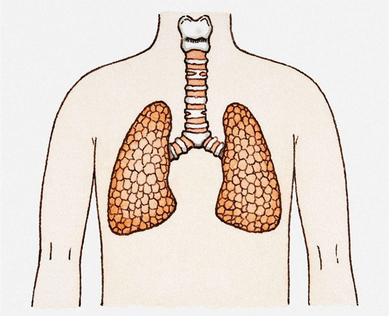 如何進行甲醛治理？沒有治理過的空氣就像虐待肺