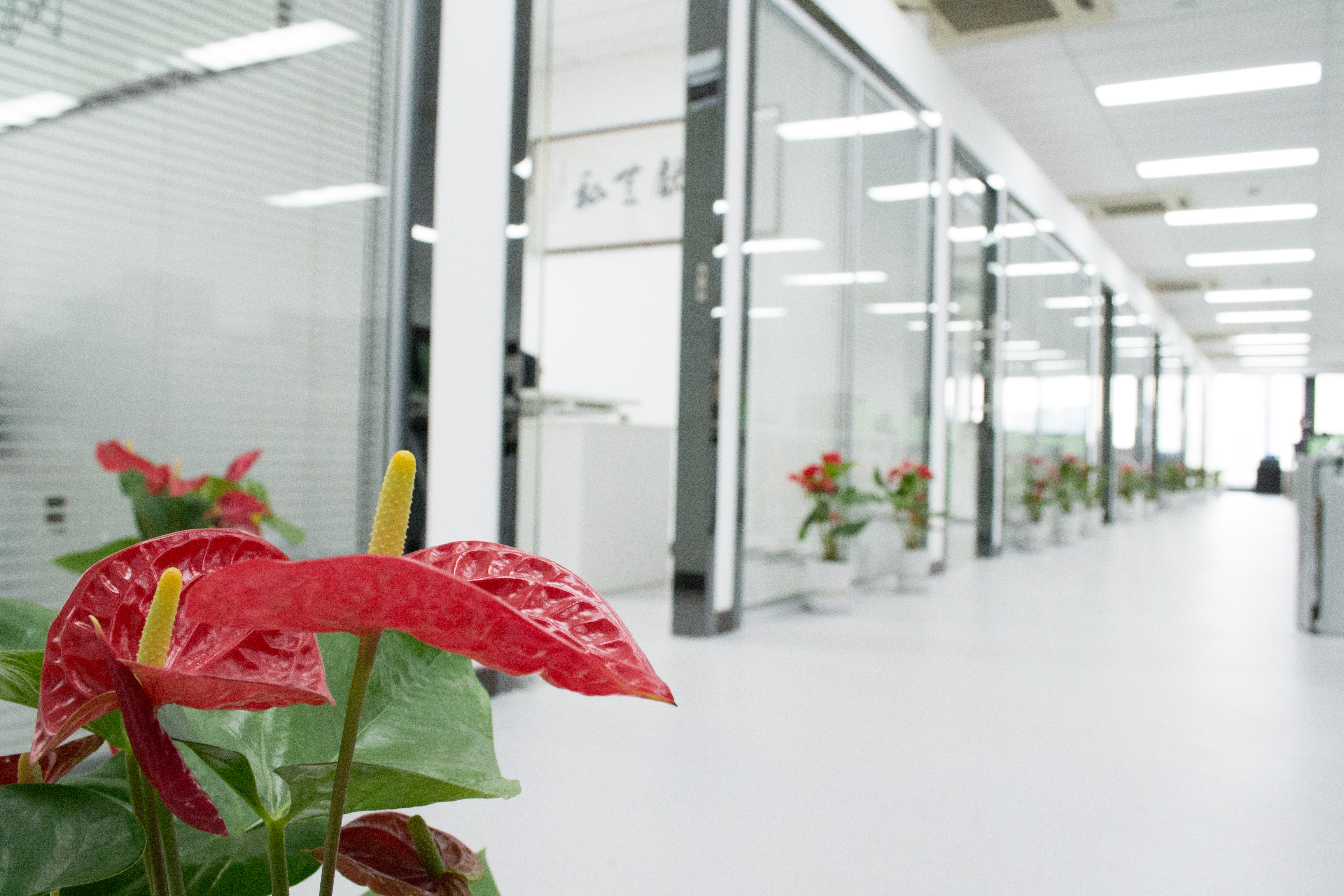 新起點,新征程 | 熱烈祝賀創綠家喬遷新址 新起點,新征程 | 熱烈祝賀創綠家喬遷新址