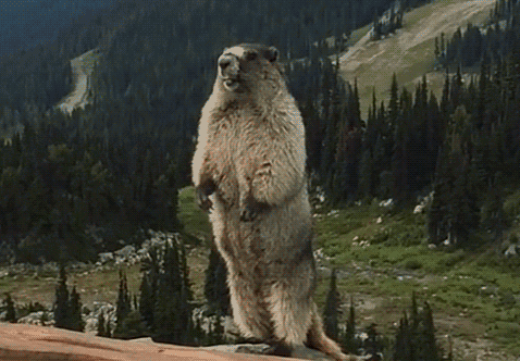 環(huán)保材料竟然裝修出污染房，新房裝修怎么這么難！??！