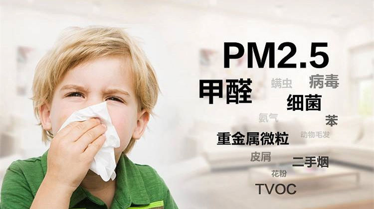 誰說二手車沒有甲醛？汽車除甲醛最有效方法告訴您