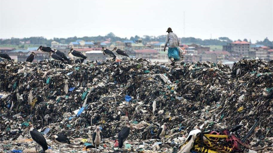 健康四月，環(huán)保政策搶先看！