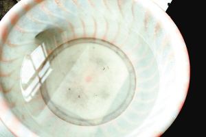 疫苗事件背后：您是否想過除甲醛產品也存在無效情況？