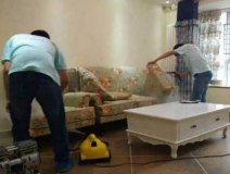 除甲醛公司需要具備哪些實力？