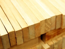 家長們集體發聲：不要打著“環保”的旗子對孩子痛下毒手！