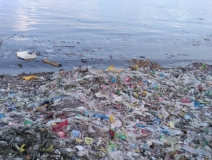 現代人生活節奏過快，卻導致環境空氣污染越來越嚴重