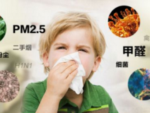 防止反彈，甲醛治理從根源做起