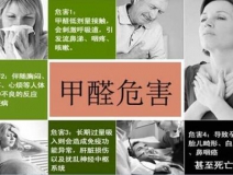 哪些綠植可以除甲醛？