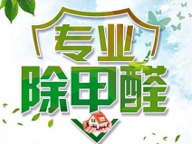 除甲醛公司的專(zhuān)業(yè)性表現(xiàn)在哪些方面？
