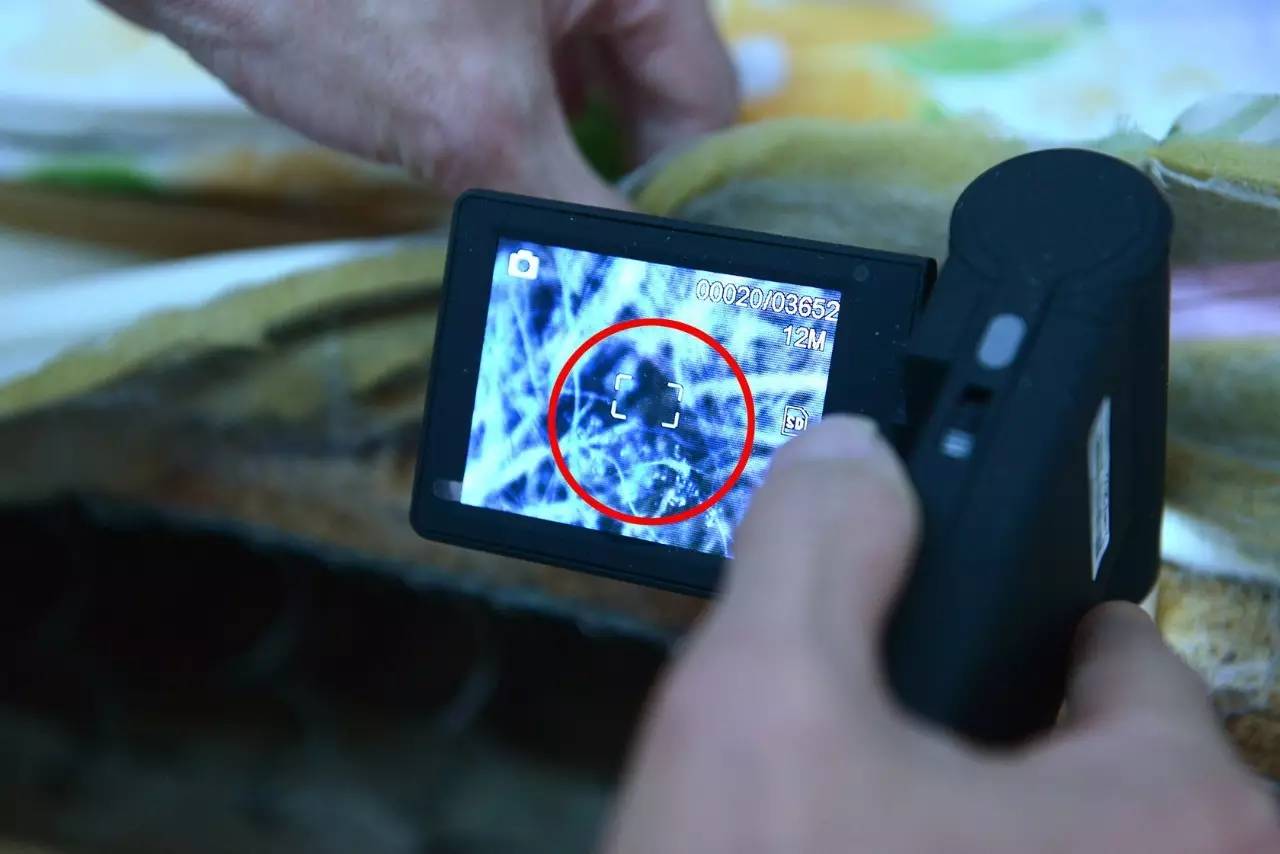 南京美女睡了10年的床墊，掀開后把全家人都嚇傻了……