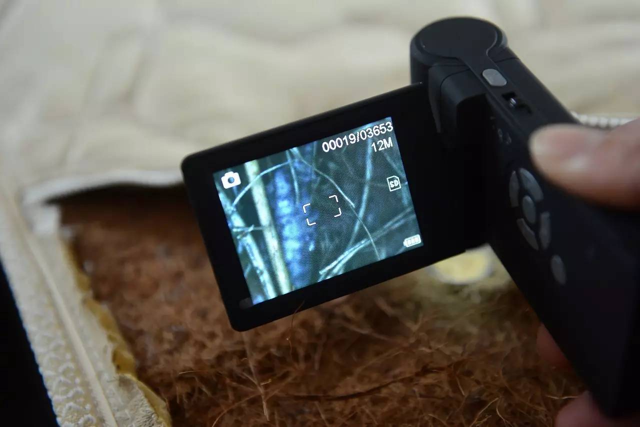 南京美女睡了10年的床墊，掀開后把全家人都嚇傻了……