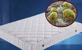 南京美女睡了10年的床墊，掀開后把全家人都嚇傻了……