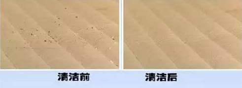 南京美女睡了10年的床墊，掀開后把全家人都嚇傻了……