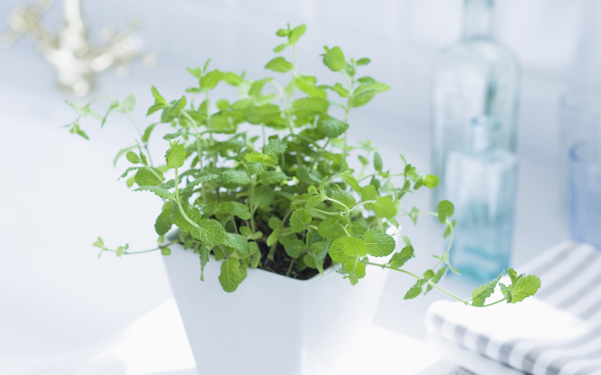 央視***主持人朱迅因癌癥離開大屏幕，這7個(gè)壞習(xí)慣最容易得癌癥！